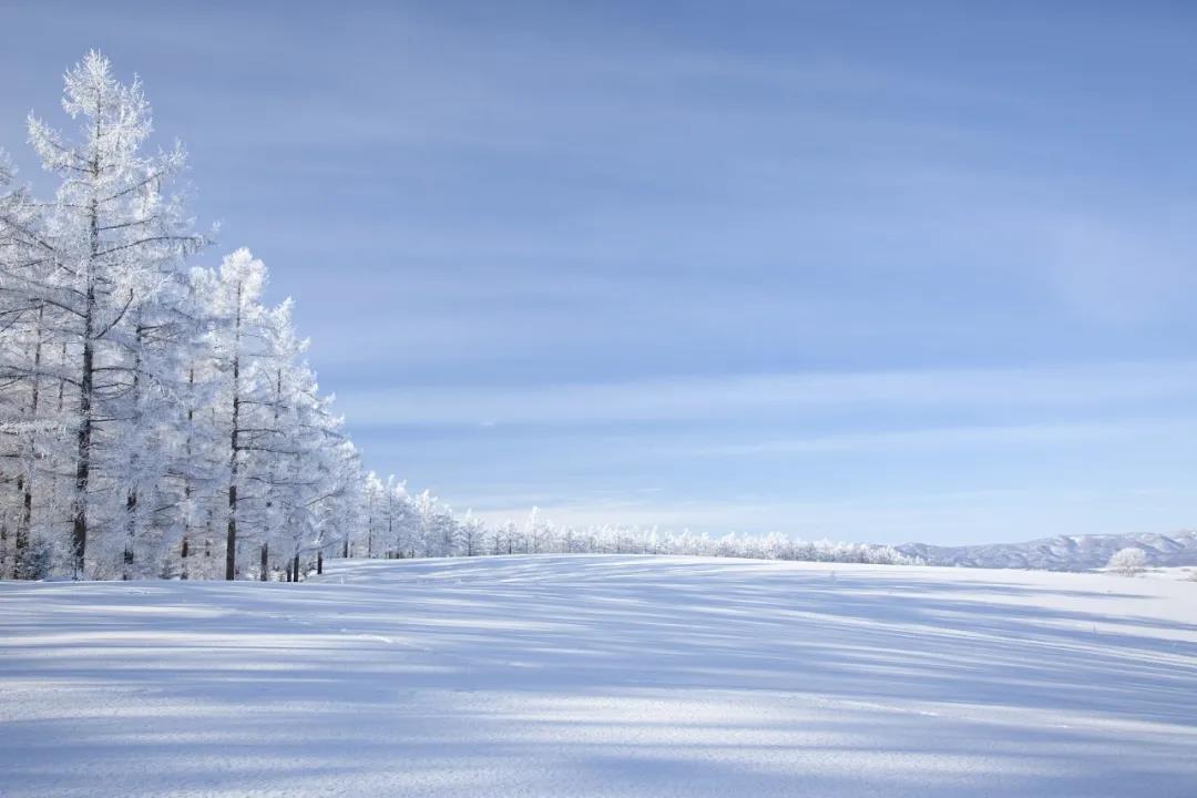 今日大雪！品讀雪中意境！